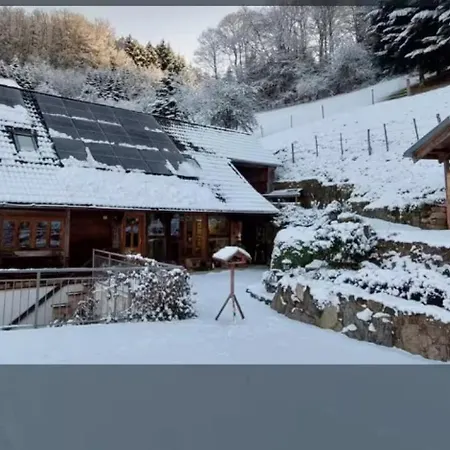 Apartman Brunnenstueble Nordrach