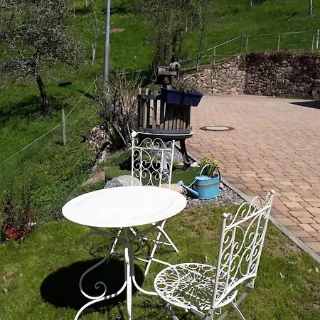 Appartamento Brunnenstueble Nordrach